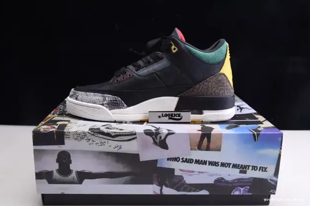 Rep Jordan Retro SE Instinct CV3583-003 2.0 Animal 3 - Air 0529